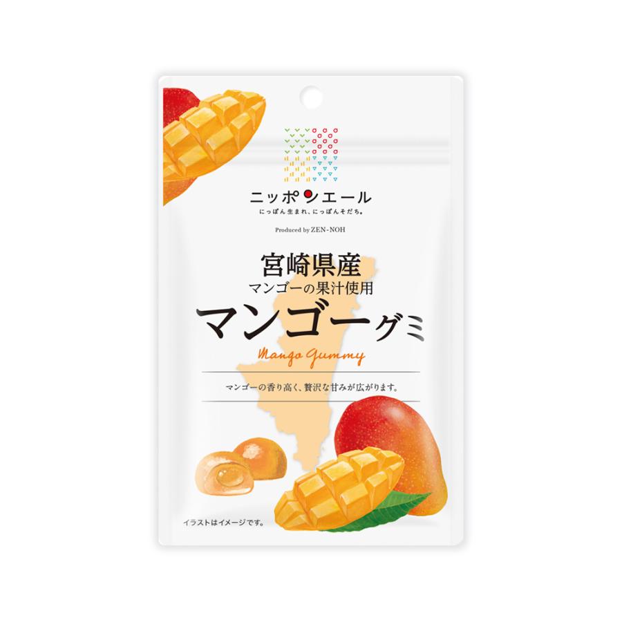 全農 ご当地グミ ニッポンエール 宮崎県産 マンゴーグミ ご当地 お菓子
