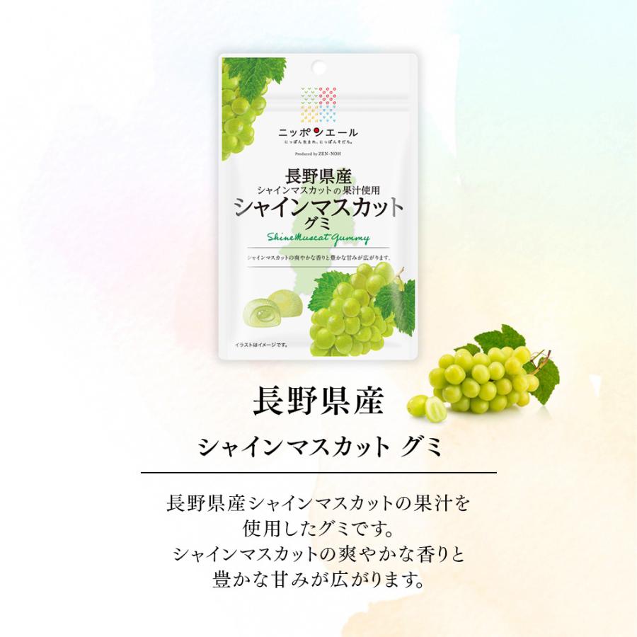 全農 ご当地グミ ニッポンエール 長野県産 シャインマスカットグミ ご
