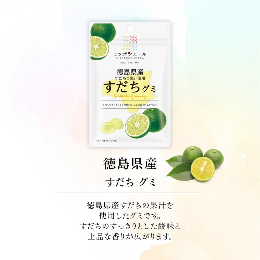 最も優遇 すだちパイ 17枚入 徳島 お土産