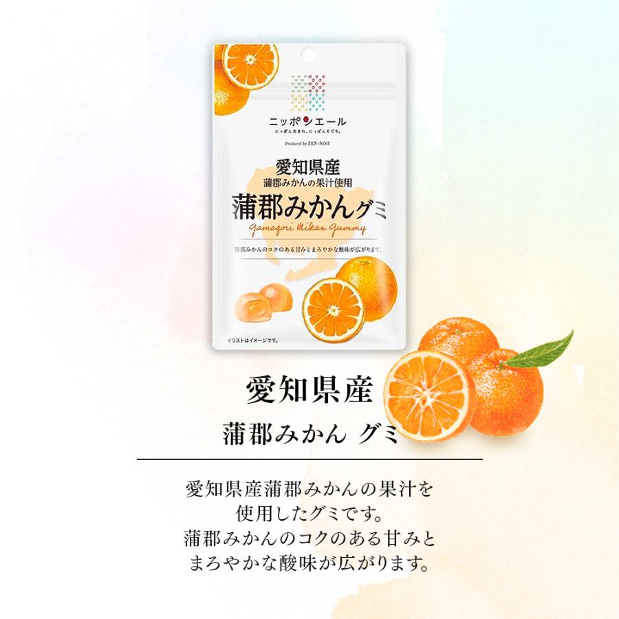 ボンボネロ グミ オレンジ 全農 ご当地グミ ニッポンエール 愛知県産 蒲郡みかんグミ ご当地 お