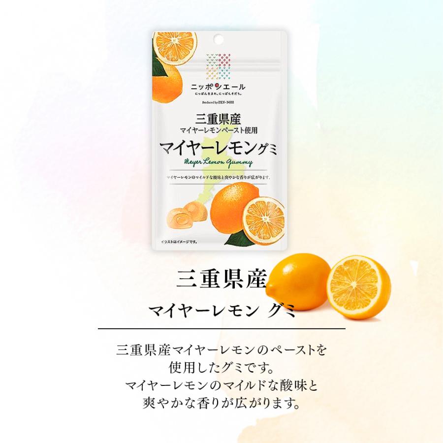 ご当地グミ ニッポンエール 三重県産 マイヤーレモングミ ご当地 お菓子
