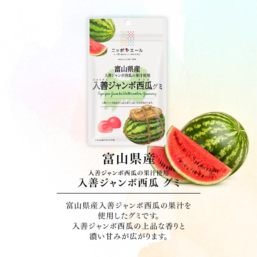 全農 ご当地グミ ニッポンエール 富山県産 入善ジャンボ西瓜グミ ご