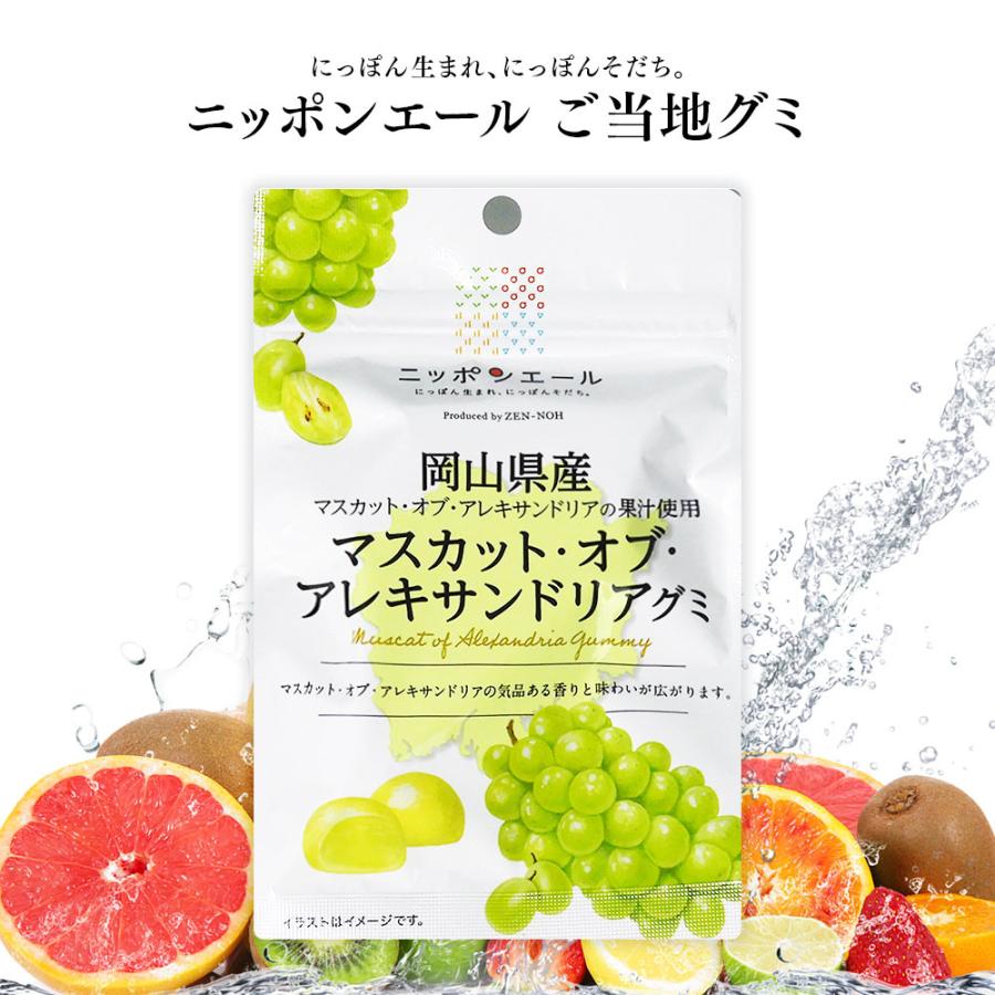 全農 ご当地グミ ニッポンエール 岡山県産 マスカット・オブ