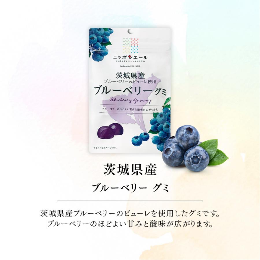 全農 【新商品】ご当地グミ ニッポンエール 茨城県産 ブルーベリーグミ