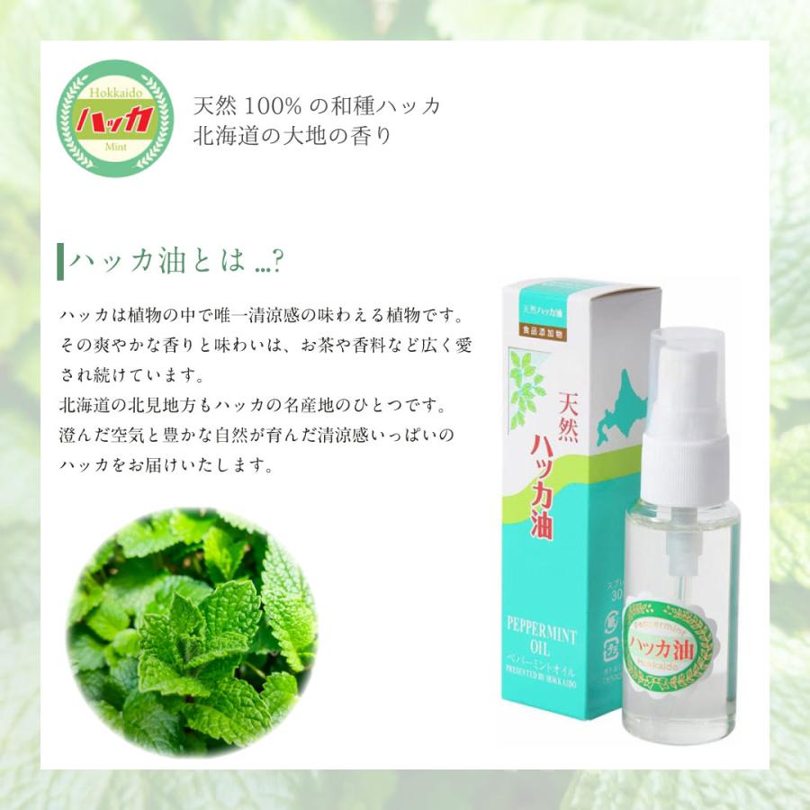 天然100% ハッカ油 スプレー 30ml 日本製 ペパーミント オイル 和種ハッカ エアモンテ 虫除け 消臭 はっか アロマ ひんやり 冷感 夏 ミントバス マスク｜vt-web｜02