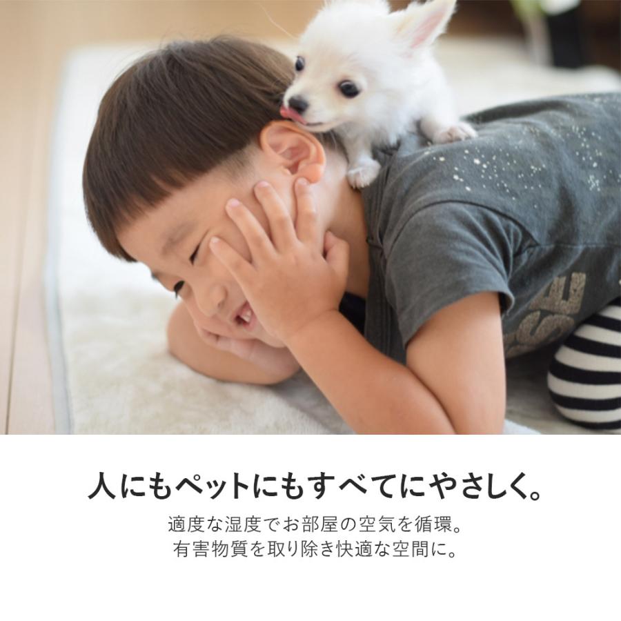 空気清浄機 加湿器 花粉 小型 10畳 arwin USB加湿空気清浄機 AAP-K9
