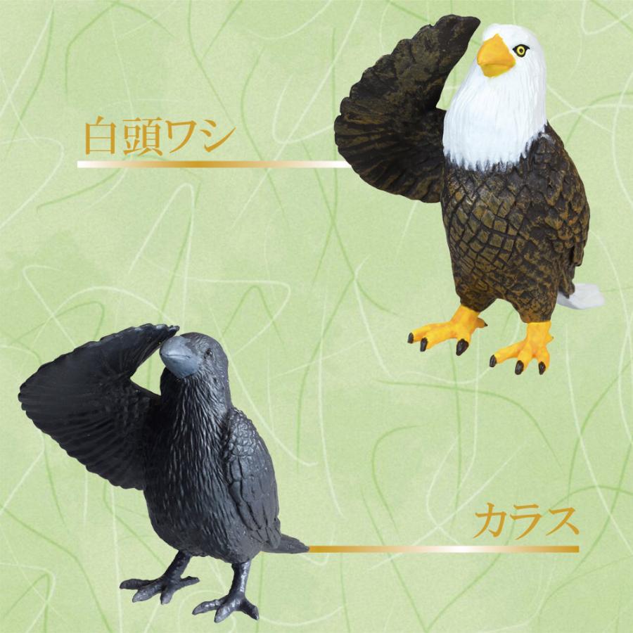 ガチャガチャ 新作 動物 フィギュア 全5種類 フルセット 敬礼 鳥 コンプリート 中身 鳥 カラス ススメ インコ ワシ かわいい おもちゃ Vt Zc Set いただきプラザ Yahoo 店 通販 Yahoo ショッピング
