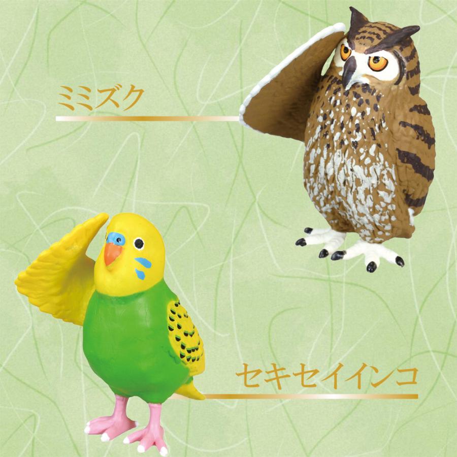 ガチャガチャ 新作 動物 フィギュア 全5種類 フルセット 敬礼 鳥 コンプリート 中身 鳥 カラス ススメ インコ ワシ かわいい おもちゃ Vt Zc Set いただきプラザ Yahoo 店 通販 Yahoo ショッピング