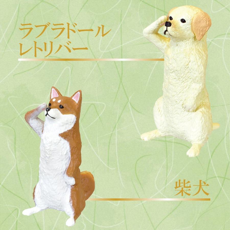 ガチャ ガチャガチャ 動物 フィギュア 全5種類 フルセット 敬礼わんこ 犬 いぬ Vt Zc Set いただきプラザ Yahoo 店 通販 Yahoo ショッピング