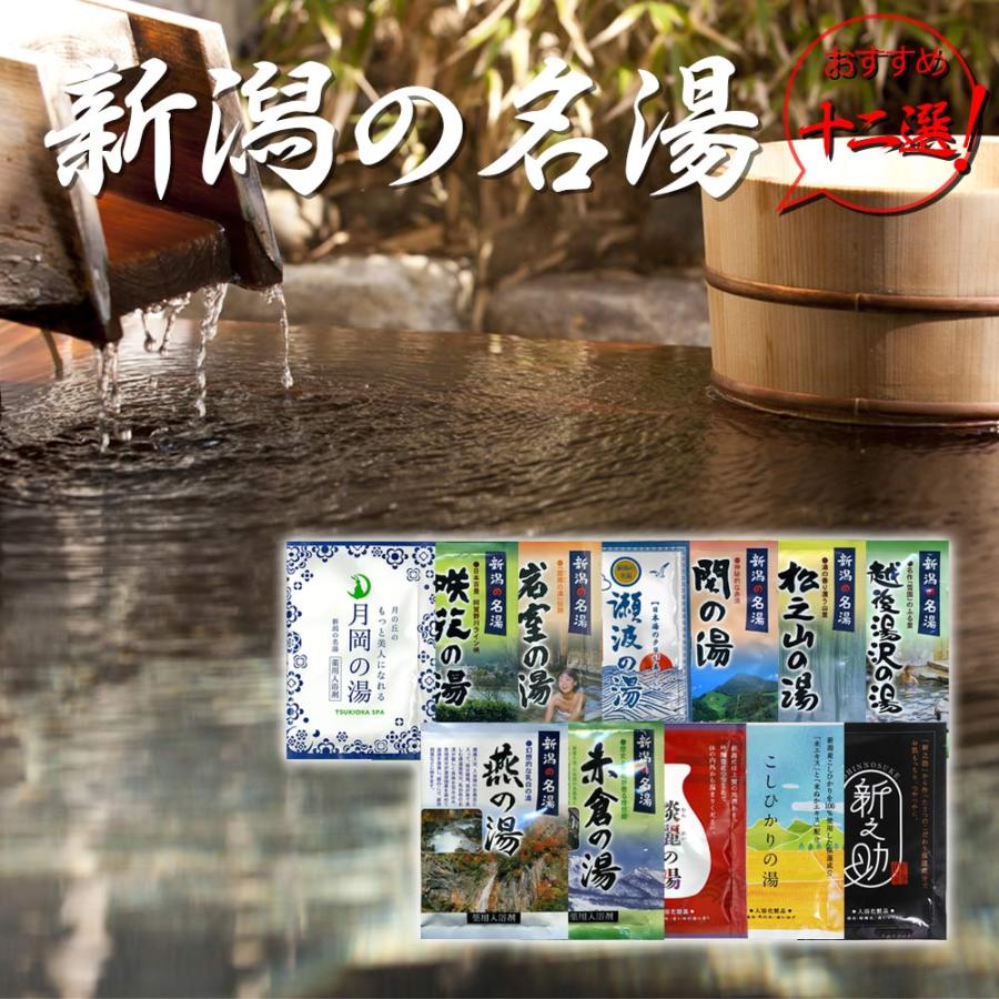 入浴剤 温泉 新潟 お風呂 12個セット 新潟の名湯・秘湯シリーズ9個 