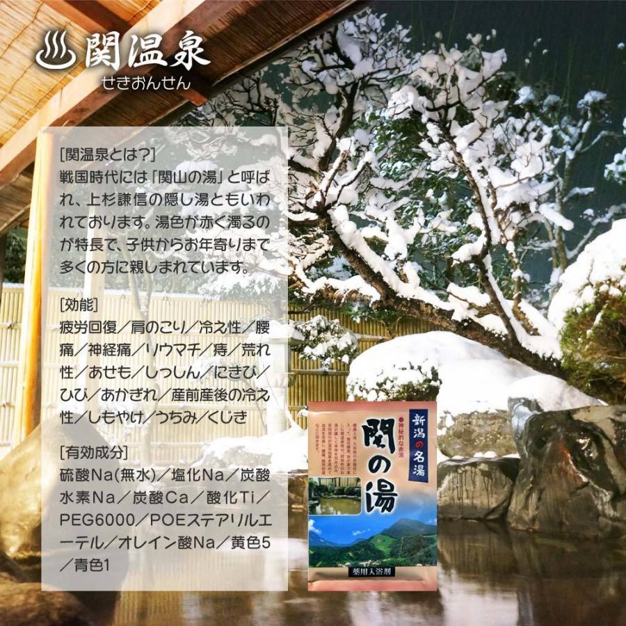 入浴剤 温泉 新潟 お風呂 セット 新潟の名湯・秘湯シリーズ 9個セット