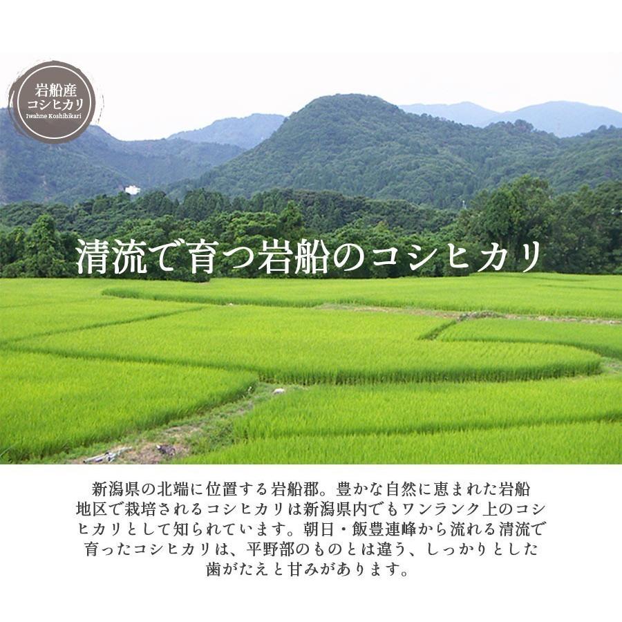 [ポイント12倍] お米 20kg 白米 送料無料 令和6年産 新潟県 岩船産 コシヒカリ 産地直送 米 国産 国内産 爆買_1
