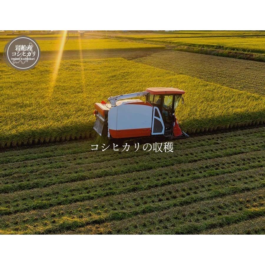 [ポイント12倍] お米 20kg 白米 送料無料 令和6年産 新潟県 岩船産 コシヒカリ 産地直送 米 国産 国内産 爆買_11