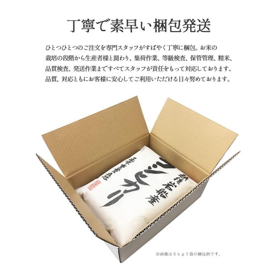 [ポイント12倍] お米 20kg 白米 送料無料 令和6年産 新潟県 岩船産 コシヒカリ 産地直送 米 国産 国内産 爆買_9