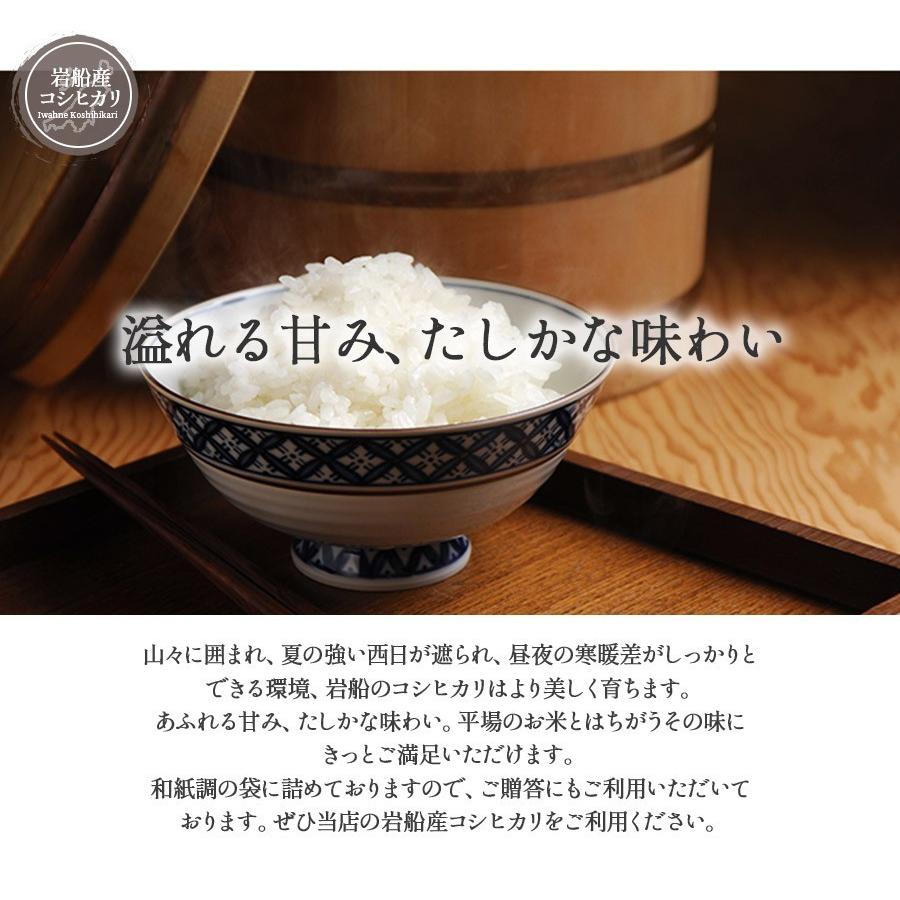 コシヒカリ お米 5kg 白米 令和7年産 新潟県 岩船産 産地直送 米 国産