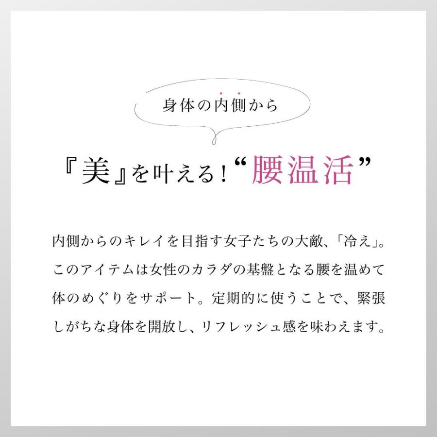 【正規品】WAVEWAVE WAIST RELEASE 低周波 EMS 温熱 遠赤外線 腰 ケア 温め ベルト リモコン付 男性 女性 健康 グッズ 軽量 解消グッズ 腰 おすすめ | WAVEWAVE | 02