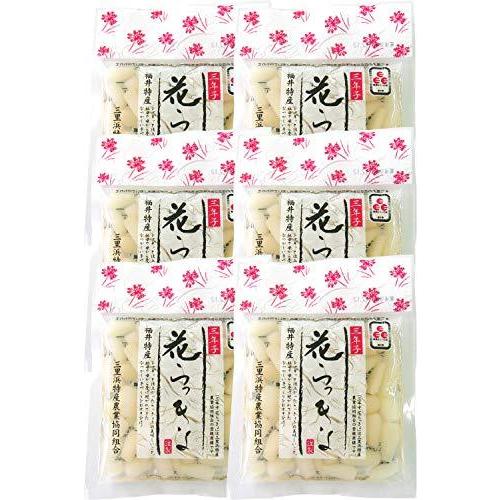 高額売筋 福井県産 花らっきょう 三年子 福井県産三年子花らっきょう 国産 らっきょう漬け 甘酢 無添加 らっきょ 6 Wantannas Go Id