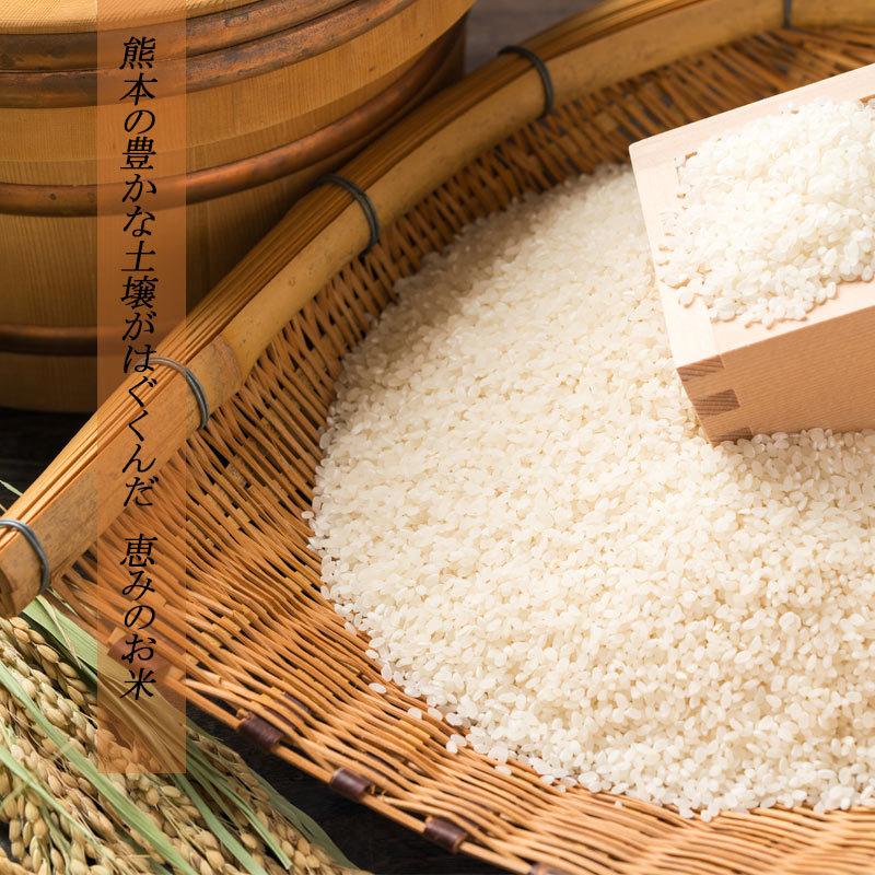 熊本県産お米 5kgX2袋 10kg
