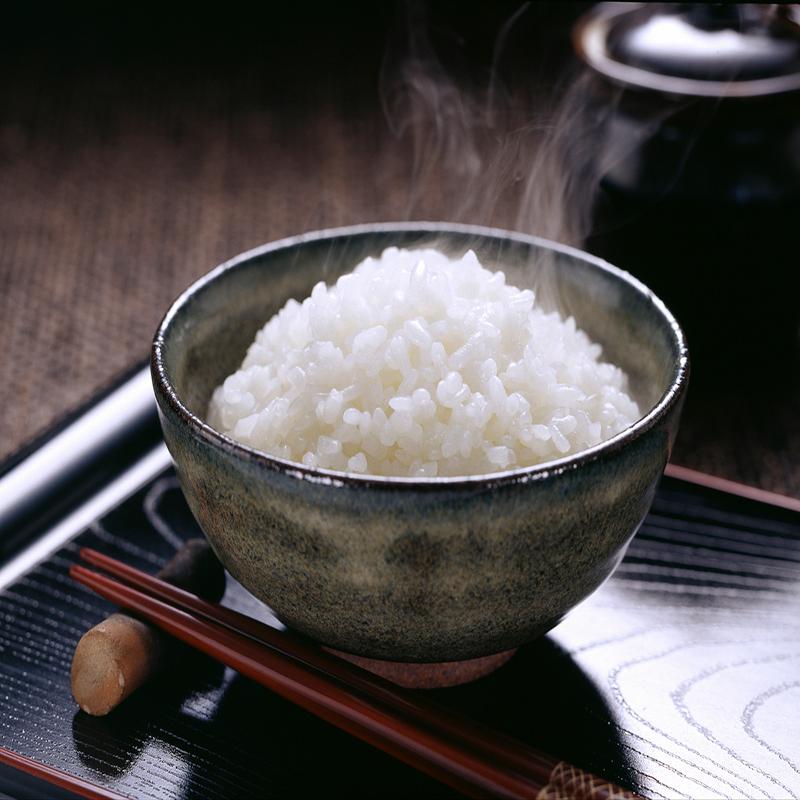 玄米　森のくまさん１０キロ 森のくまさん お米 10kg 白米 送料無料 白米 5kg×2袋 熊本県産 令和4