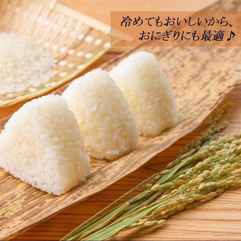 森のくまさん 定期購入割あり 令和7年 熊本のおいしいお米 5kg×3 熊本