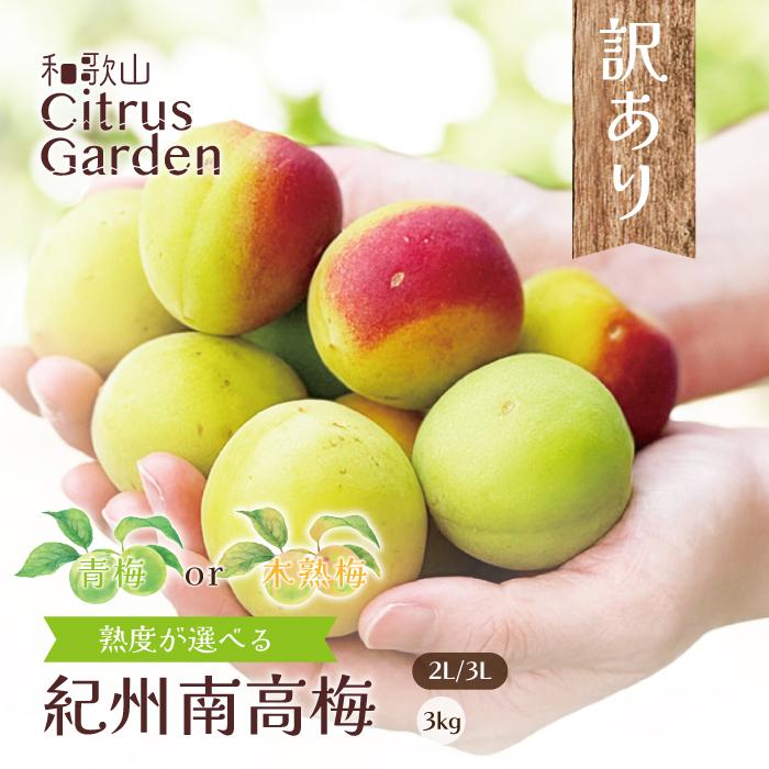 熟度が選べる】訳あり 南高梅 2L/3Lサイズ 3kg 送料無料 うめ 梅 青梅