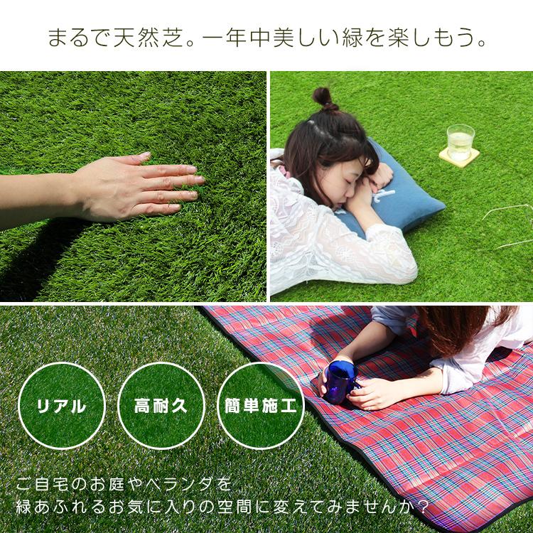 最終価格✨人工芝 ロール 芝丈20mm 2mx5m 透水タイプ 芝生 【公式通販】