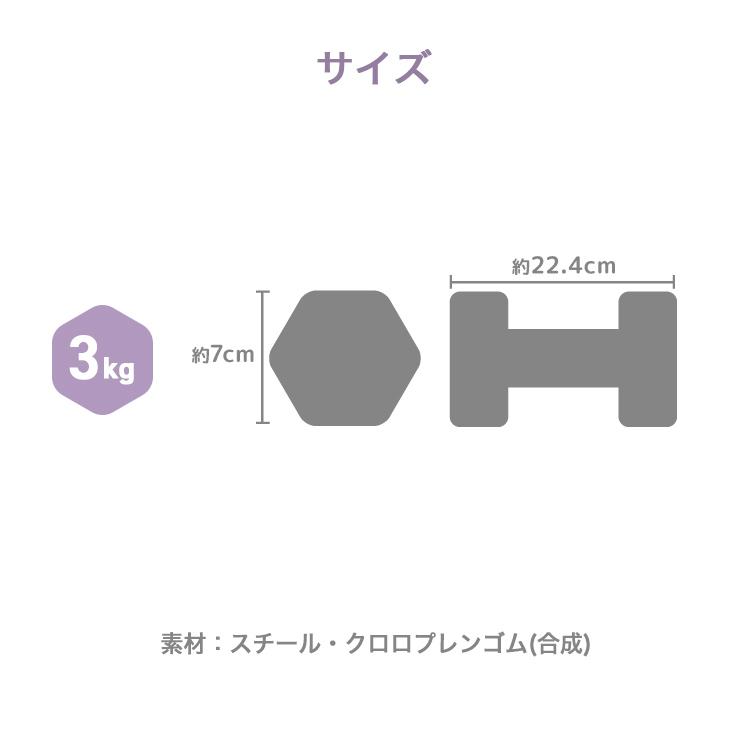 ダンベル 3kg VISION QUEST ダンベル 3kg 2個セット 転がらない 六角形 カラー