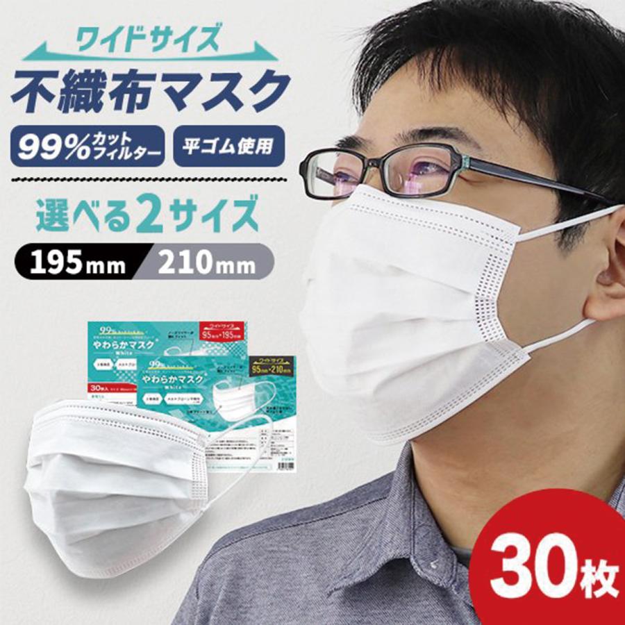 やわらかマスク 大きめ マスク 不織布 195mm 210mm 大人用 ワイドサイズ 使い捨てマスク 30枚 白 3層構造 平ゴム 耳が痛くならない W Class 通販 Paypayモール
