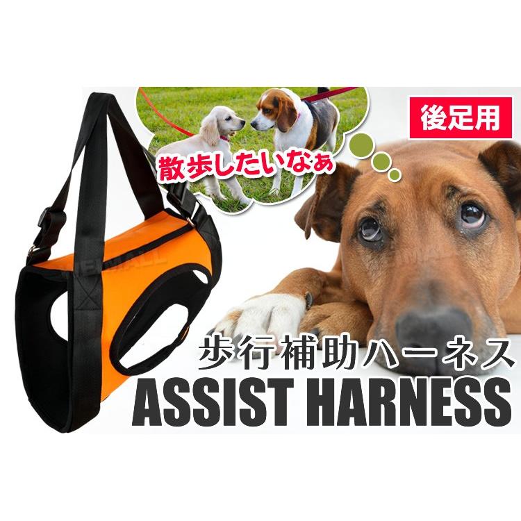 犬用 ハーネス 介護 歩行補助 中型犬 後ろ足用 持ち手長さ調節可能 介護ペット用品 老犬介護用 W Class 通販 Paypayモール