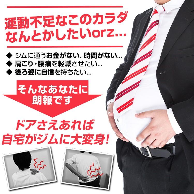 簡単組み立て 筋トレマシーン アイアンジム 耐荷重90kg ドアに取り付け 懸垂 腕立て 腹筋トレーニングが出来る WEIMALL | WEIMALL | 02