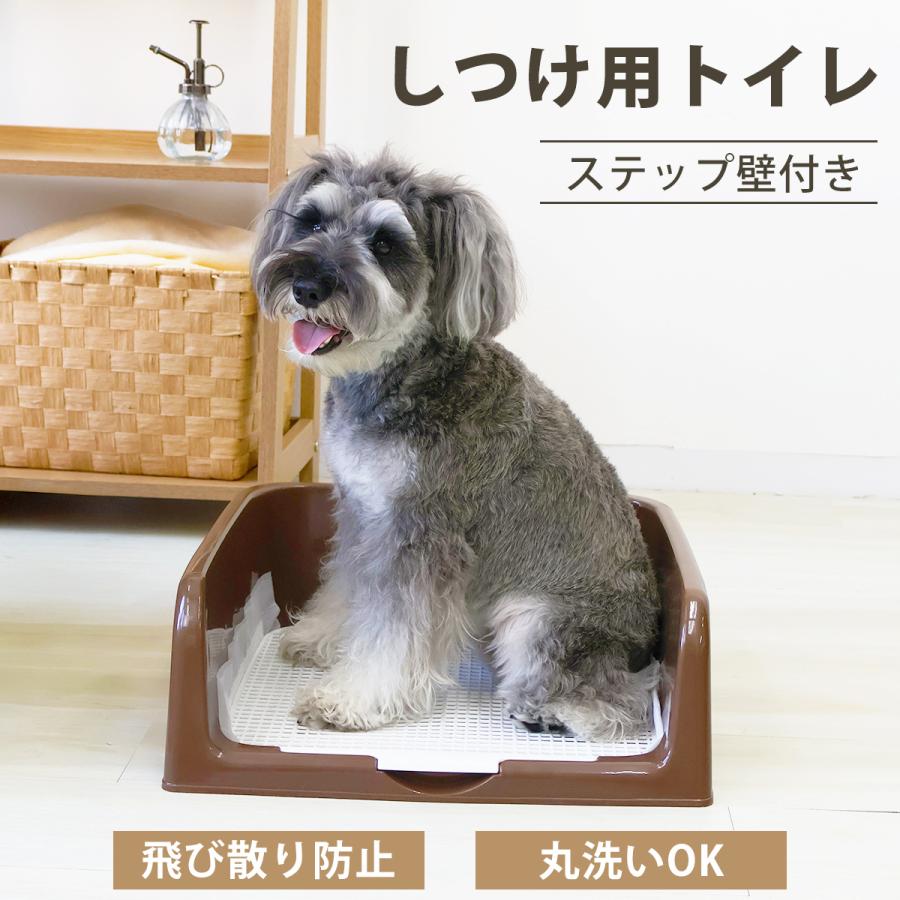 ペット用トイレ 犬トレーニング しつけ用ステップ壁付き メッシュ W Class 通販 Paypayモール