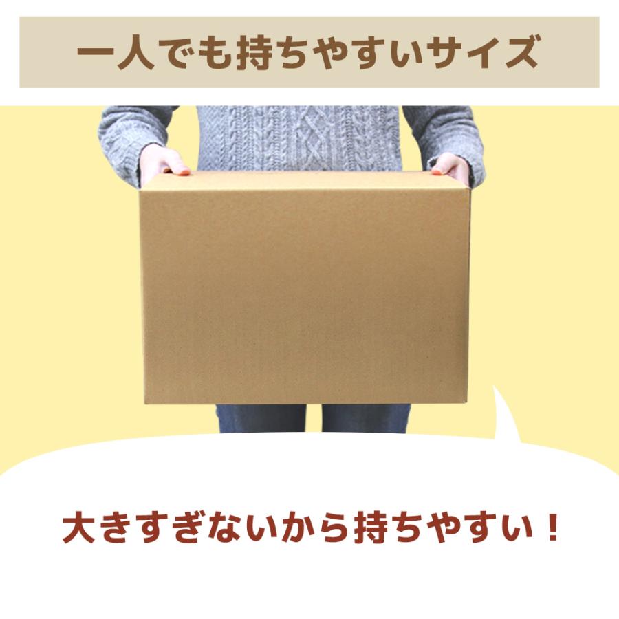 ダンボール 段ボール 90サイズ 100枚セット 日本製 宅配 ダンボール 段ボール 90サイズ 100枚セット 日本製 宅配