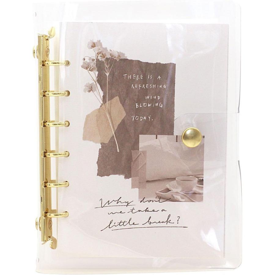 Bine A6 クリアバインダー ゴールド の商品画像