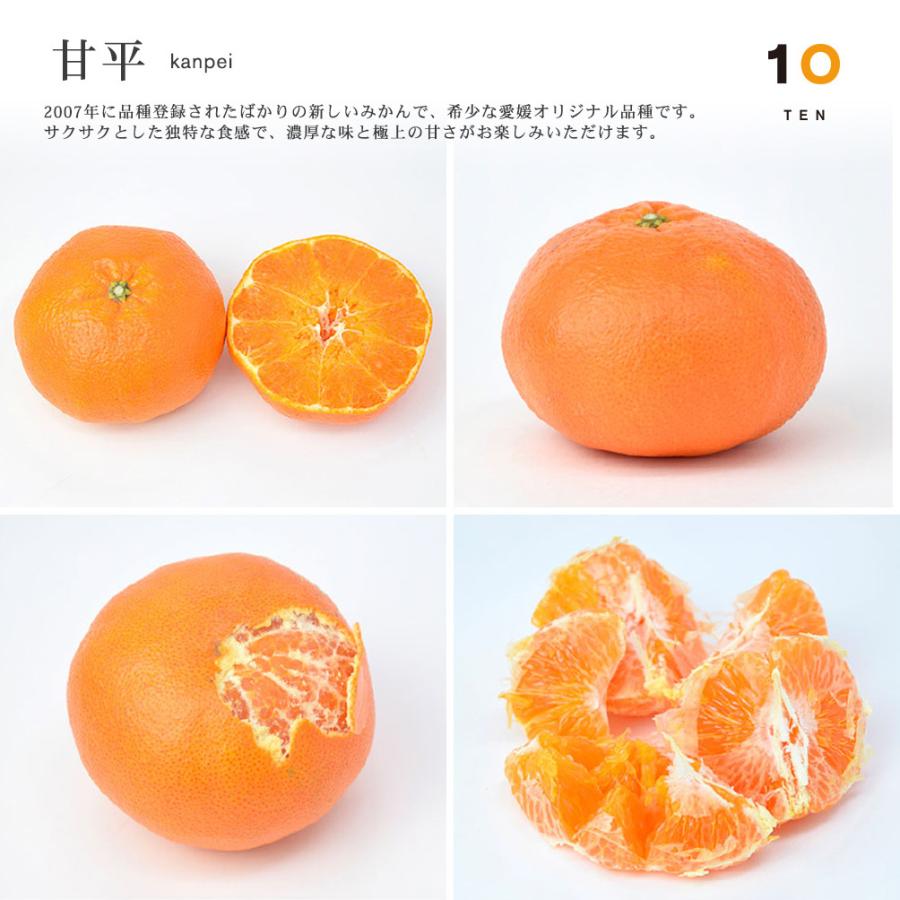 10FACTORY 甘平 かんぺい 無添加 果汁100% ストレートジュース 1本