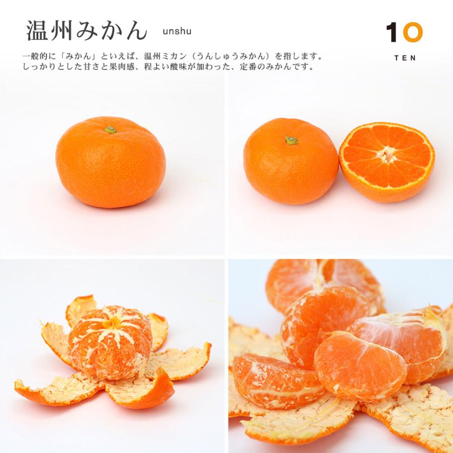 10FACTORY 温州みかん 無添加 果汁100%ストレートジュース 1本 720ml