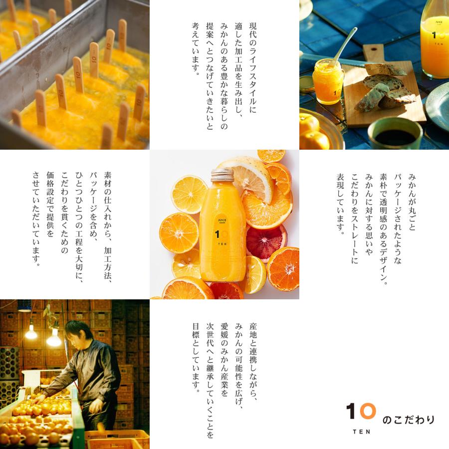 10FACTORY 冬ギフト ジュース 愛媛 みかん 愛媛みかん 無添加 100