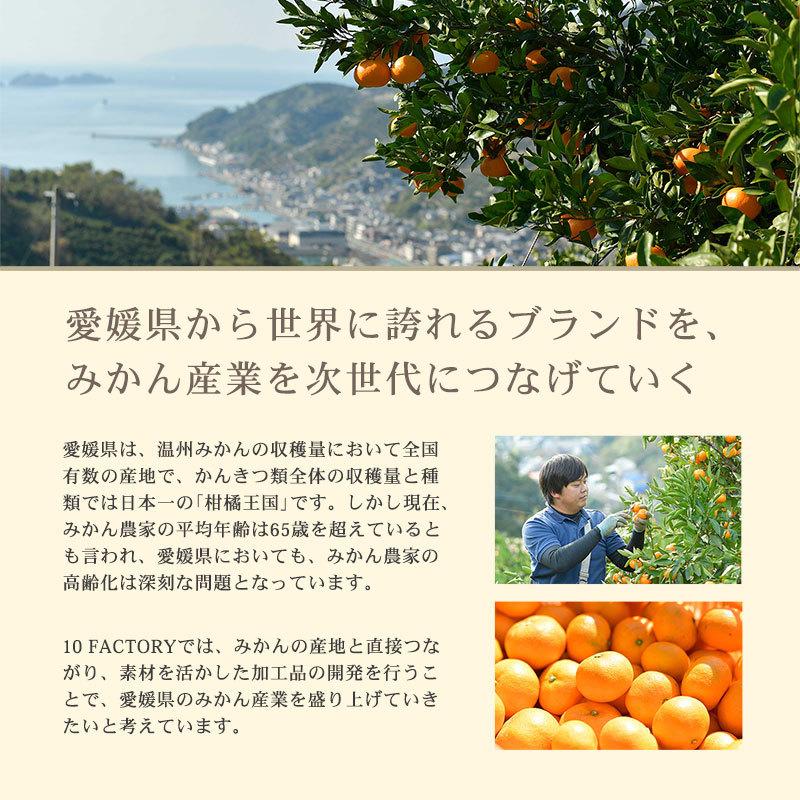 飲むみかん　10本セット　ジュース　まとめ売り 早和果樹園 C10-B飲むみかんジュースセット 10本箱セット : にっぽん
