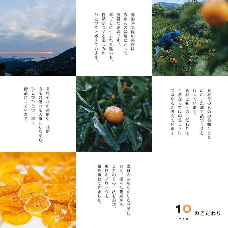 10FACTORY 夏ギフト ジュース 愛媛 みかん 愛媛みかん ジュース 5本