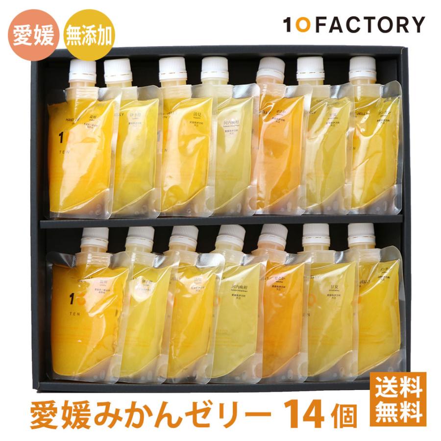 10FACTORY 夏ギフト ゼリー 愛媛 みかん 愛媛みかんゼリー 食べ比べ 14