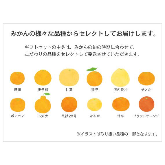 10FACTORY お歳暮 ギフト ジュース 愛媛 みかん 愛媛みかんジュース