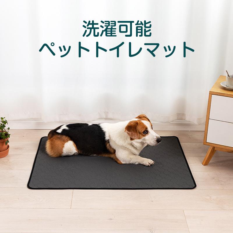 犬用 猫用 洗えるペットシーツ 2枚セット 大伴サイズ XL 70*100cm