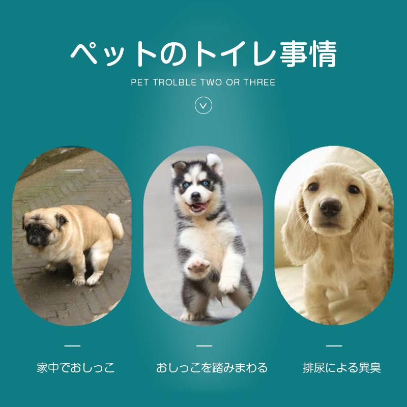 犬用 猫用 洗えるペットシーツ 2枚セット 大伴サイズ XL 70*100cm