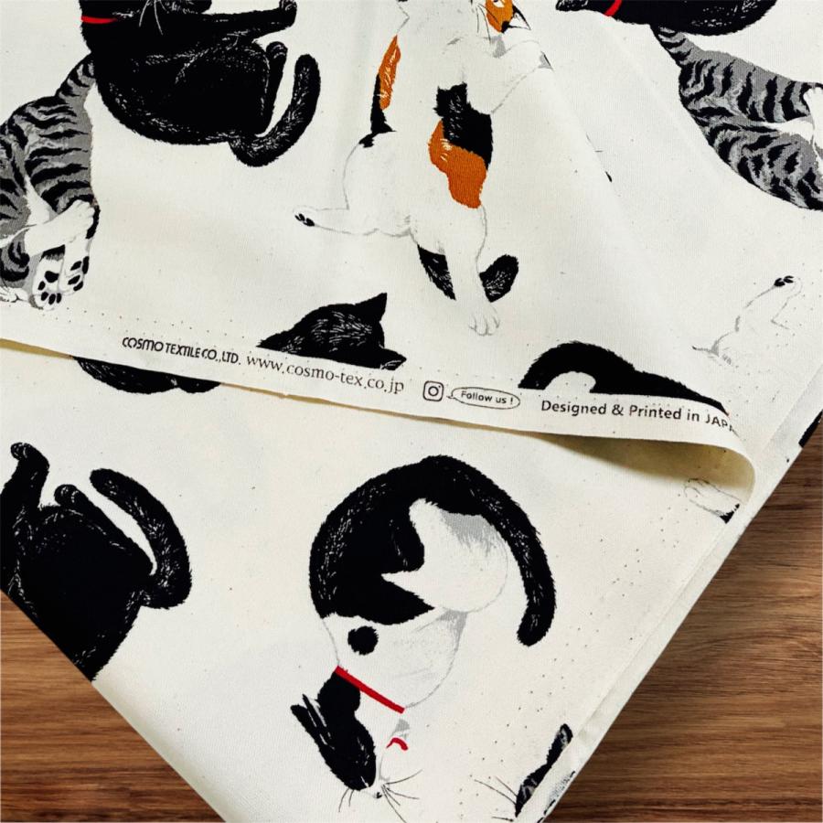 黒猫3 62f0a8d8c49590218eb0296b3a56c8