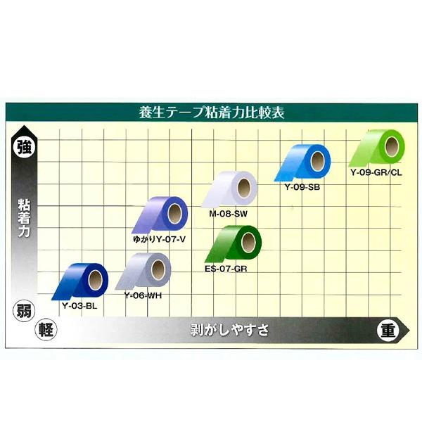 ダイヤテックス（DIATEX） Y-07-V [50幅×25m×30巻] パイオラン 内装