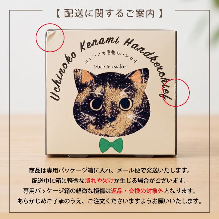 今治タオル ハンカチ にゃんこ タオルハンカチ 今治 ハンカチタオル