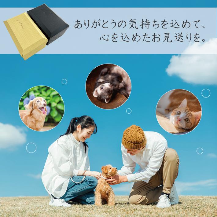 ペット用棺 小窓付き ダンボール製 お棺 小型犬 子犬 子猫 犬 猫