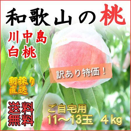桃　あらかわの桃®︎ 川中島白桃　15玉　訳あり 楽天市場】【7月下旬発送】お中元 夏ギフト 訳あり あら川の桃