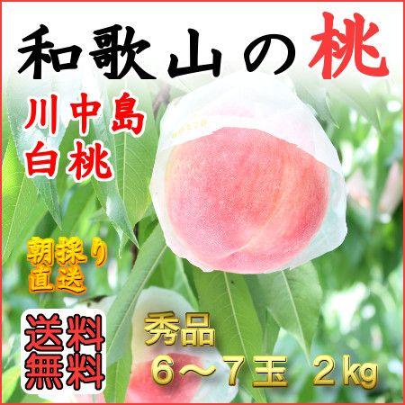 和歌山田中農園の桃 川中島白桃 秀品2kg 6玉〜7玉 : 和歌山田中農園