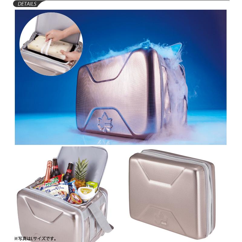 LOGOS（ロゴス） クーラーボックス 12リットル 強力保冷 保冷バッグ