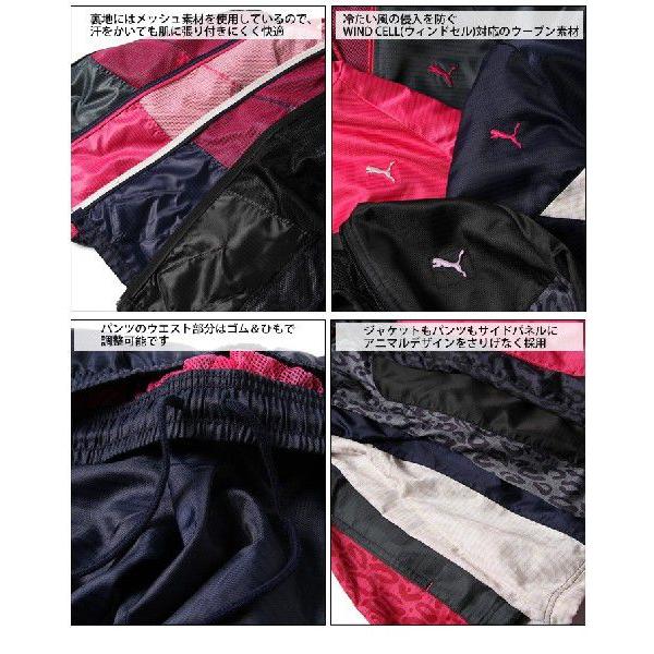 融合 ハチ 整理する Puma Wiskersguidingservice Com